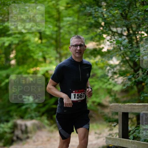 28.09.2025 - 33. Volkslauf durch das schöne Alstertal Patografie http://msf.ph/oto/8966714 28.09.2025 10:05:13 Laufen 1567 meine-sportfotos.de