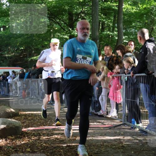 28.09.2025 - 33. Volkslauf durch das schöne Alstertal Strokosch-Dieckow http://msf.ph/oto/8966722 28.09.2025 11:34:29 Ziel 1003, 3086, 3182 meine-sportfotos.de