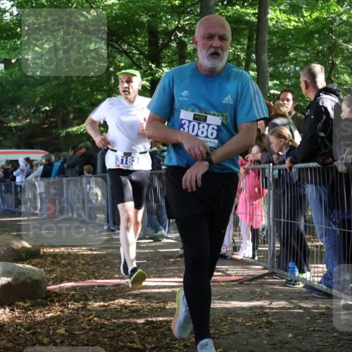 28.09.2025 - 33. Volkslauf durch das schöne Alstertal Strokosch-Dieckow http://msf.ph/oto/8966728 28.09.2025 11:34:29 Ziel 1003, 3086, 3182 meine-sportfotos.de