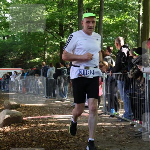 28.09.2025 - 33. Volkslauf durch das schöne Alstertal Strokosch-Dieckow http://msf.ph/oto/8966737 28.09.2025 11:34:31 Ziel 1003, 1831, 3182 meine-sportfotos.de