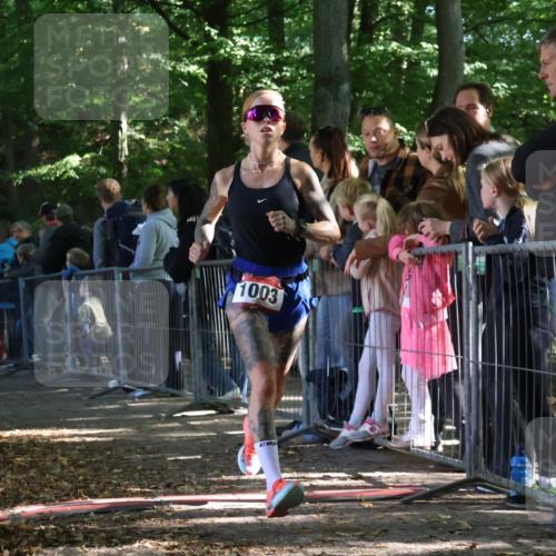 28.09.2025 - 33. Volkslauf durch das schöne Alstertal Strokosch-Dieckow http://msf.ph/oto/8966768 28.09.2025 11:34:36 Ziel 1003, 1831 meine-sportfotos.de