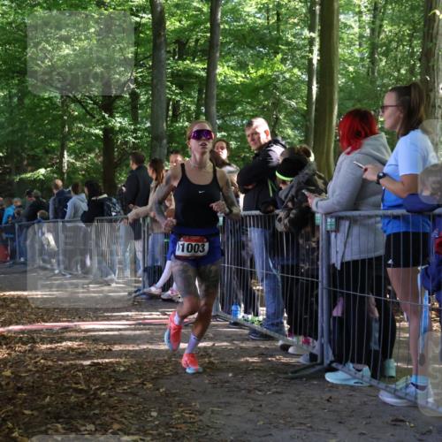 28.09.2025 - 33. Volkslauf durch das schöne Alstertal Strokosch-Dieckow http://msf.ph/oto/8966772 28.09.2025 11:34:37 Ziel 1003, 1831, 3348 meine-sportfotos.de