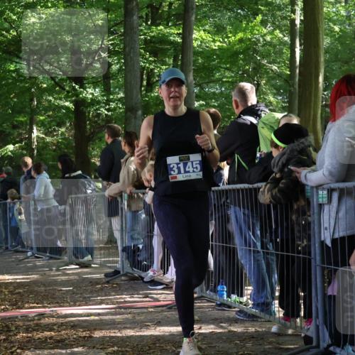 28.09.2025 - 33. Volkslauf durch das schöne Alstertal Strokosch-Dieckow http://msf.ph/oto/8966860 28.09.2025 11:35:09 Ziel 3145 meine-sportfotos.de