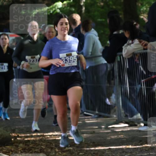 28.09.2025 - 33. Volkslauf durch das schöne Alstertal Strokosch-Dieckow http://msf.ph/oto/8966862 28.09.2025 11:35:19 Ziel 3216, 3237, 3356, 3395 meine-sportfotos.de