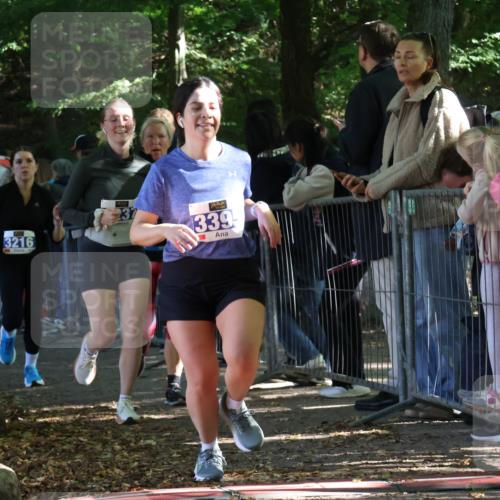 28.09.2025 - 33. Volkslauf durch das schöne Alstertal Strokosch-Dieckow http://msf.ph/oto/8966863 28.09.2025 11:35:19 Ziel 3216, 3237, 3356, 3395 meine-sportfotos.de