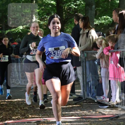 28.09.2025 - 33. Volkslauf durch das schöne Alstertal Strokosch-Dieckow http://msf.ph/oto/8966864 28.09.2025 11:35:20 Ziel 3216, 3237, 3356, 3395 meine-sportfotos.de