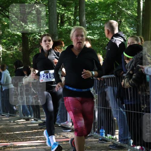 28.09.2025 - 33. Volkslauf durch das schöne Alstertal Strokosch-Dieckow http://msf.ph/oto/8966869 28.09.2025 11:35:22 Ziel 3216, 3237, 3356, 3903 meine-sportfotos.de