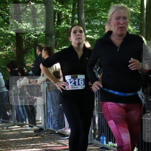 28.09.2025 - 33. Volkslauf durch das schöne Alstertal Strokosch-Dieckow http://msf.ph/oto/8966870 28.09.2025 11:35:23 Ziel 3216, 3356, 3903 meine-sportfotos.de