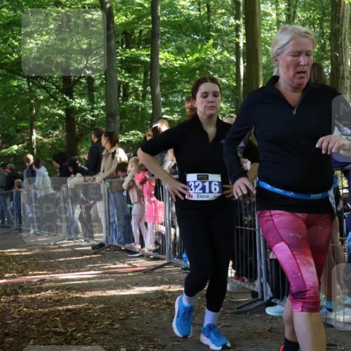 28.09.2025 - 33. Volkslauf durch das schöne Alstertal Strokosch-Dieckow http://msf.ph/oto/8966871 28.09.2025 11:35:24 Ziel 3183, 3294, 3903 meine-sportfotos.de