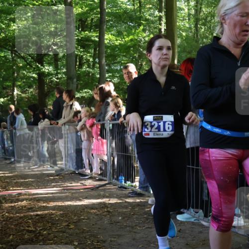 28.09.2025 - 33. Volkslauf durch das schöne Alstertal Strokosch-Dieckow http://msf.ph/oto/8966872 28.09.2025 11:35:24 Ziel 3183, 3294, 3903 meine-sportfotos.de