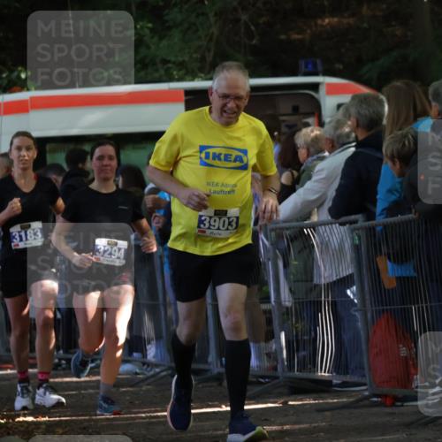 28.09.2025 - 33. Volkslauf durch das schöne Alstertal Strokosch-Dieckow http://msf.ph/oto/8966873 28.09.2025 11:35:26 Ziel 3183, 3294, 3903 meine-sportfotos.de