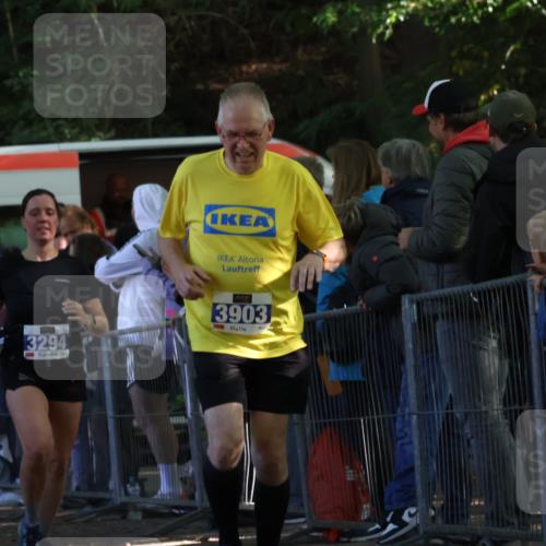 28.09.2025 - 33. Volkslauf durch das schöne Alstertal Strokosch-Dieckow http://msf.ph/oto/8966874 28.09.2025 11:35:27 Ziel 3183, 3294, 3903 meine-sportfotos.de