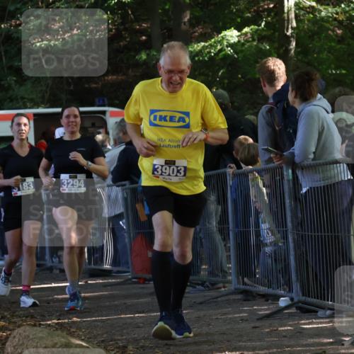 28.09.2025 - 33. Volkslauf durch das schöne Alstertal Strokosch-Dieckow http://msf.ph/oto/8966875 28.09.2025 11:35:28 Ziel 3183, 3294, 3903 meine-sportfotos.de