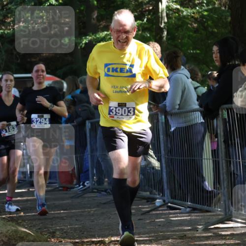 28.09.2025 - 33. Volkslauf durch das schöne Alstertal Strokosch-Dieckow http://msf.ph/oto/8966876 28.09.2025 11:35:29 Ziel 3183, 3294, 3903 meine-sportfotos.de