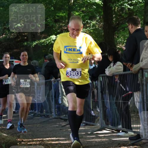 28.09.2025 - 33. Volkslauf durch das schöne Alstertal Strokosch-Dieckow http://msf.ph/oto/8966877 28.09.2025 11:35:30 Ziel 3183, 3294, 3903 meine-sportfotos.de