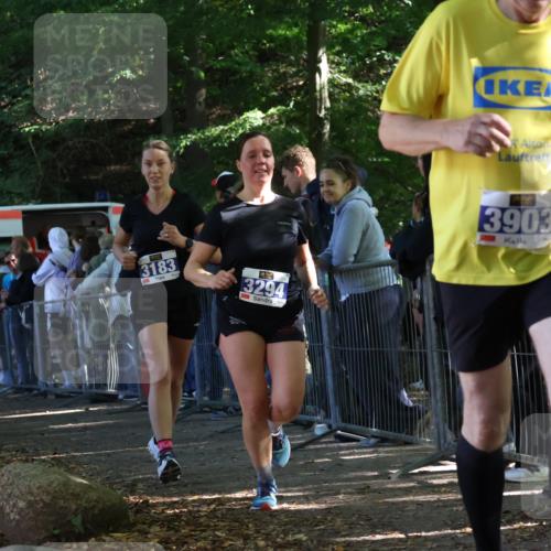 28.09.2025 - 33. Volkslauf durch das schöne Alstertal Strokosch-Dieckow http://msf.ph/oto/8966878 28.09.2025 11:35:31 Ziel 3183, 3294, 3903 meine-sportfotos.de