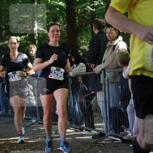 28.09.2025 - 33. Volkslauf durch das schöne Alstertal Strokosch-Dieckow http://msf.ph/oto/8966879 28.09.2025 11:35:32 Ziel 3183, 3294, 3903 meine-sportfotos.de