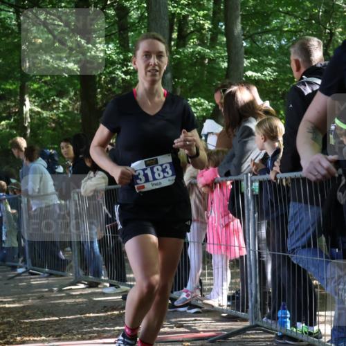 28.09.2025 - 33. Volkslauf durch das schöne Alstertal Strokosch-Dieckow http://msf.ph/oto/8966882 28.09.2025 11:35:34 Ziel 3183, 3294 meine-sportfotos.de