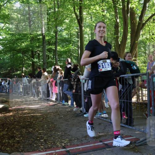 28.09.2025 - 33. Volkslauf durch das schöne Alstertal Strokosch-Dieckow http://msf.ph/oto/8966885 28.09.2025 11:35:35 Ziel  meine-sportfotos.de