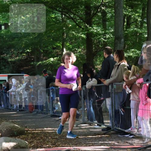 28.09.2025 - 33. Volkslauf durch das schöne Alstertal Strokosch-Dieckow http://msf.ph/oto/8966886 28.09.2025 11:35:46 Ziel 3007, 3135, 3191 meine-sportfotos.de