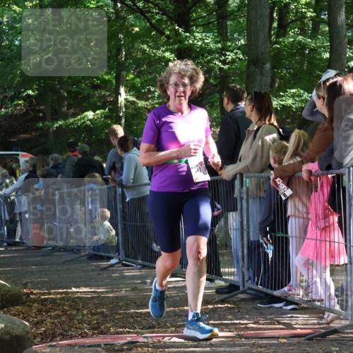 28.09.2025 - 33. Volkslauf durch das schöne Alstertal Strokosch-Dieckow http://msf.ph/oto/8966887 28.09.2025 11:35:47 Ziel 3007, 3135, 3191, 3193 meine-sportfotos.de