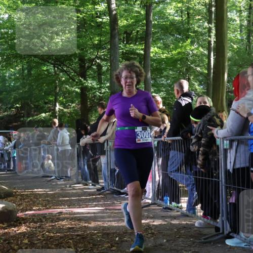 28.09.2025 - 33. Volkslauf durch das schöne Alstertal Strokosch-Dieckow http://msf.ph/oto/8966889 28.09.2025 11:35:48 Ziel 3007, 3135, 3191, 3193 meine-sportfotos.de