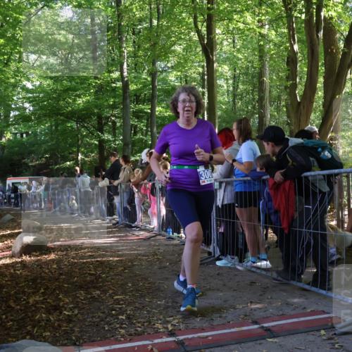 28.09.2025 - 33. Volkslauf durch das schöne Alstertal Strokosch-Dieckow http://msf.ph/oto/8966890 28.09.2025 11:35:49 Ziel 3135, 3191, 3193 meine-sportfotos.de