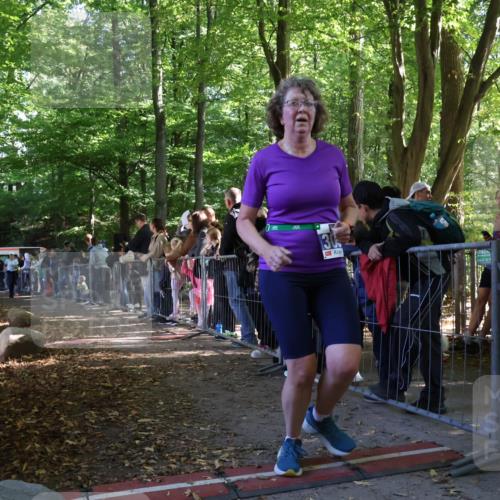 28.09.2025 - 33. Volkslauf durch das schöne Alstertal Strokosch-Dieckow http://msf.ph/oto/8966891 28.09.2025 11:35:49 Ziel 3135, 3191, 3193 meine-sportfotos.de