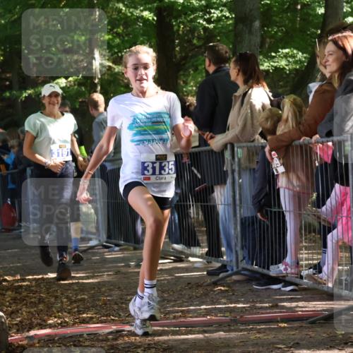 28.09.2025 - 33. Volkslauf durch das schöne Alstertal Strokosch-Dieckow http://msf.ph/oto/8966895 28.09.2025 11:35:53 Ziel 1529, 3135, 3191, 3193, 3928 meine-sportfotos.de