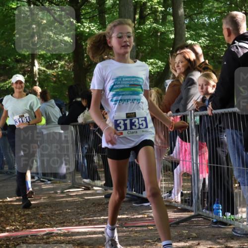 28.09.2025 - 33. Volkslauf durch das schöne Alstertal Strokosch-Dieckow http://msf.ph/oto/8966896 28.09.2025 11:35:53 Ziel 1529, 3135, 3191, 3193, 3928 meine-sportfotos.de