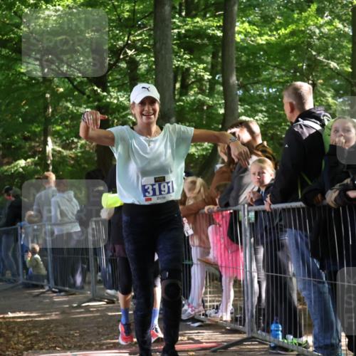 28.09.2025 - 33. Volkslauf durch das schöne Alstertal Strokosch-Dieckow http://msf.ph/oto/8966899 28.09.2025 11:35:55 Ziel 1529, 3135, 3191, 3193, 3928 meine-sportfotos.de