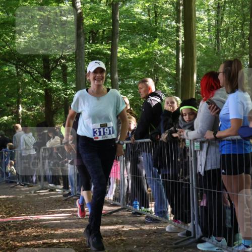 28.09.2025 - 33. Volkslauf durch das schöne Alstertal Strokosch-Dieckow http://msf.ph/oto/8966900 28.09.2025 11:35:56 Ziel 1529, 3191, 3193, 3928 meine-sportfotos.de