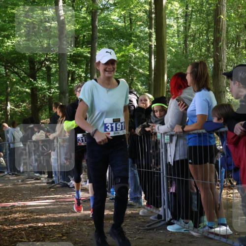 28.09.2025 - 33. Volkslauf durch das schöne Alstertal Strokosch-Dieckow http://msf.ph/oto/8966901 28.09.2025 11:35:56 Ziel 1529, 3191, 3193, 3928 meine-sportfotos.de