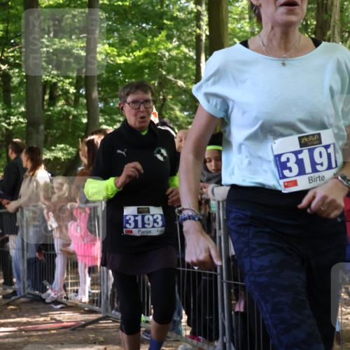 28.09.2025 - 33. Volkslauf durch das schöne Alstertal Strokosch-Dieckow http://msf.ph/oto/8966902 28.09.2025 11:35:57 Ziel 1529, 3193, 3928 meine-sportfotos.de