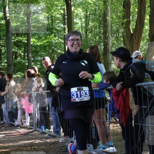 28.09.2025 - 33. Volkslauf durch das schöne Alstertal Strokosch-Dieckow http://msf.ph/oto/8966903 28.09.2025 11:35:57 Ziel 1529, 3193, 3928 meine-sportfotos.de