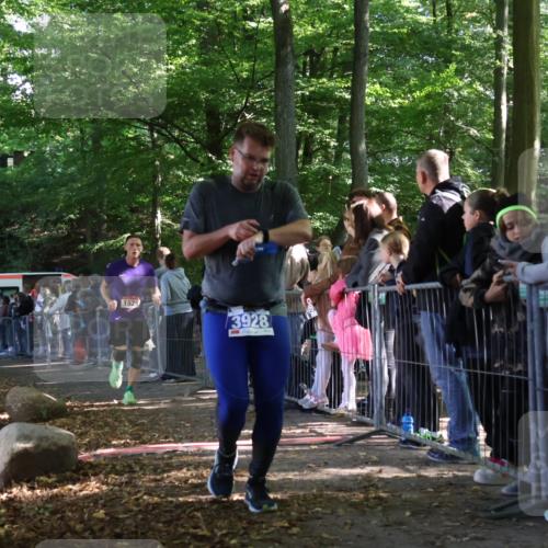 28.09.2025 - 33. Volkslauf durch das schöne Alstertal Strokosch-Dieckow http://msf.ph/oto/8966906 28.09.2025 11:35:59 Ziel 1529, 3928 meine-sportfotos.de