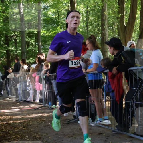 28.09.2025 - 33. Volkslauf durch das schöne Alstertal Strokosch-Dieckow http://msf.ph/oto/8966911 28.09.2025 11:36:02 Ziel 1529, 3102 meine-sportfotos.de