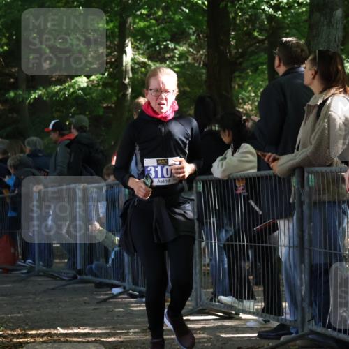 28.09.2025 - 33. Volkslauf durch das schöne Alstertal Strokosch-Dieckow http://msf.ph/oto/8966915 28.09.2025 11:36:08 Ziel 3102, 3119 meine-sportfotos.de