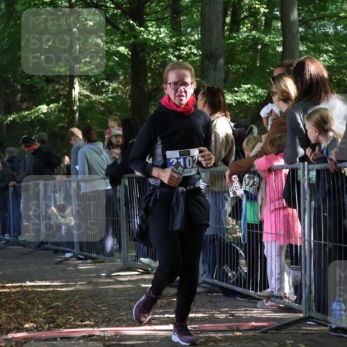 28.09.2025 - 33. Volkslauf durch das schöne Alstertal Strokosch-Dieckow http://msf.ph/oto/8966916 28.09.2025 11:36:09 Ziel 3102, 3119 meine-sportfotos.de