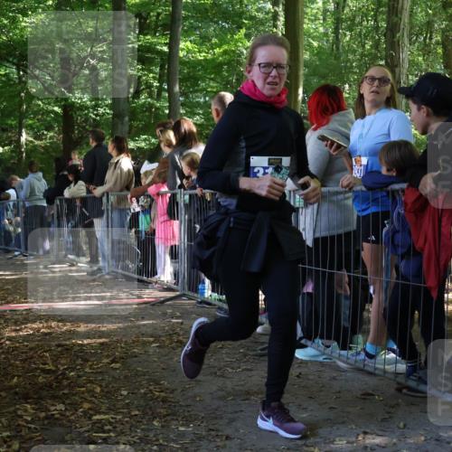 28.09.2025 - 33. Volkslauf durch das schöne Alstertal Strokosch-Dieckow http://msf.ph/oto/8966917 28.09.2025 11:36:10 Ziel 3102, 3119 meine-sportfotos.de