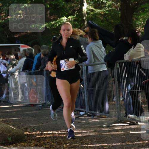 28.09.2025 - 33. Volkslauf durch das schöne Alstertal Strokosch-Dieckow http://msf.ph/oto/8966924 28.09.2025 11:36:23 Ziel 3050, 3410 meine-sportfotos.de