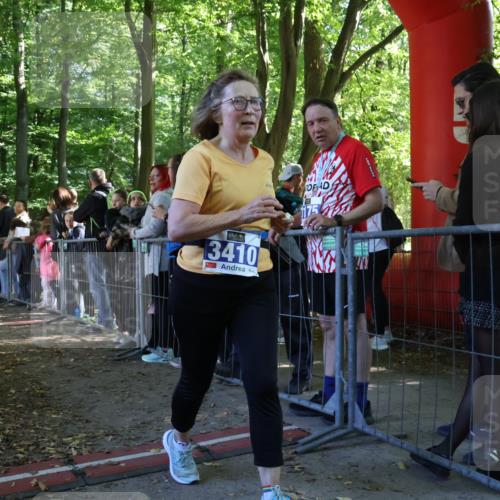 28.09.2025 - 33. Volkslauf durch das schöne Alstertal Strokosch-Dieckow http://msf.ph/oto/8966932 28.09.2025 11:36:27 Ziel  meine-sportfotos.de