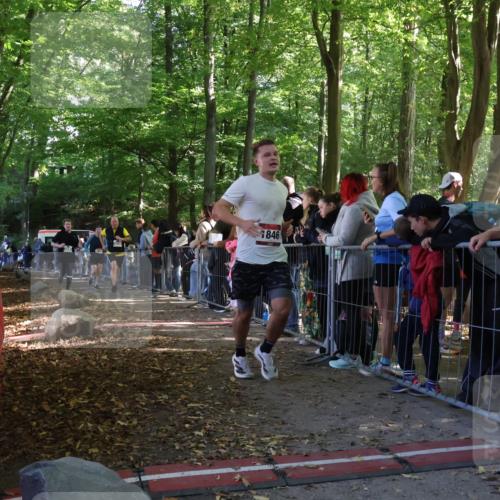 28.09.2025 - 33. Volkslauf durch das schöne Alstertal Strokosch-Dieckow http://msf.ph/oto/8966943 28.09.2025 11:36:49 Ziel 1531, 1846, 3239, 3240 meine-sportfotos.de