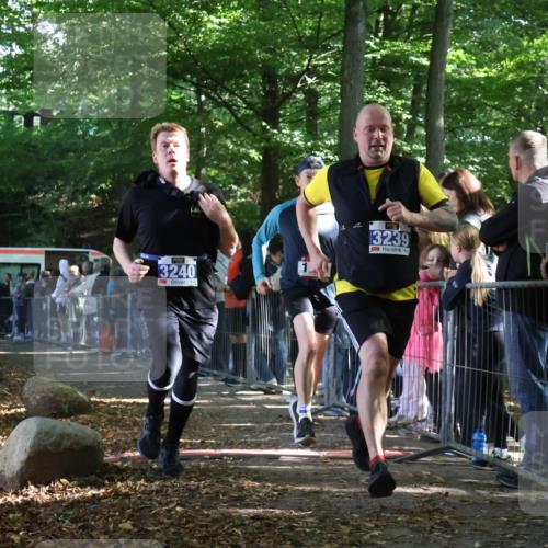 28.09.2025 - 33. Volkslauf durch das schöne Alstertal Strokosch-Dieckow http://msf.ph/oto/8966947 28.09.2025 11:36:51 Ziel 1531, 3235, 3239, 3240, 3338 meine-sportfotos.de