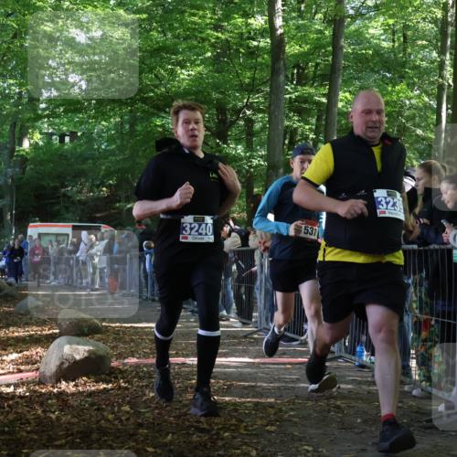 28.09.2025 - 33. Volkslauf durch das schöne Alstertal Strokosch-Dieckow http://msf.ph/oto/8966948 28.09.2025 11:36:52 Ziel 1531, 3235, 3239, 3240, 3338 meine-sportfotos.de