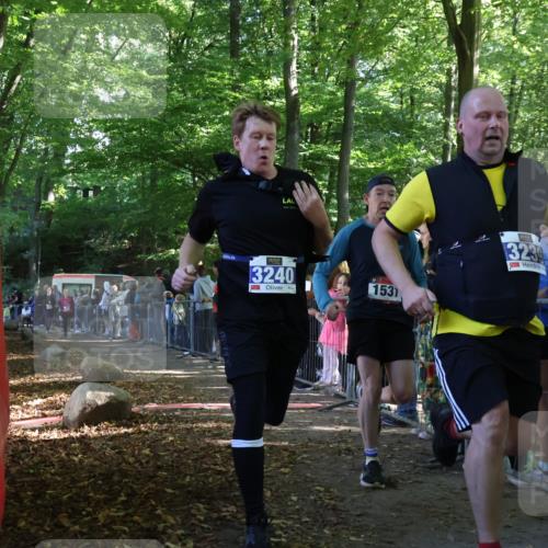 28.09.2025 - 33. Volkslauf durch das schöne Alstertal Strokosch-Dieckow http://msf.ph/oto/8966949 28.09.2025 11:36:52 Ziel 1531, 3235, 3239, 3240, 3338 meine-sportfotos.de