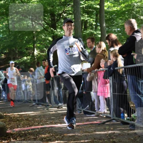28.09.2025 - 33. Volkslauf durch das schöne Alstertal Strokosch-Dieckow http://msf.ph/oto/8966959 28.09.2025 11:37:05 Ziel 1519, 3008, 3034, 3110, 3401, 3402 meine-sportfotos.de