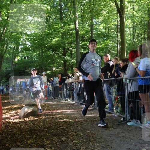 28.09.2025 - 33. Volkslauf durch das schöne Alstertal Strokosch-Dieckow http://msf.ph/oto/8966960 28.09.2025 11:37:06 Ziel 1519, 3008, 3034, 3110, 3401, 3402 meine-sportfotos.de