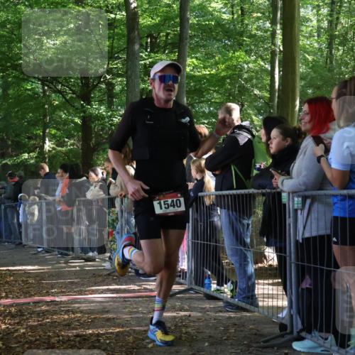 28.09.2025 - 33. Volkslauf durch das schöne Alstertal Strokosch-Dieckow http://msf.ph/oto/8966987 28.09.2025 11:37:24 Ziel 1535, 1540, 3161 meine-sportfotos.de