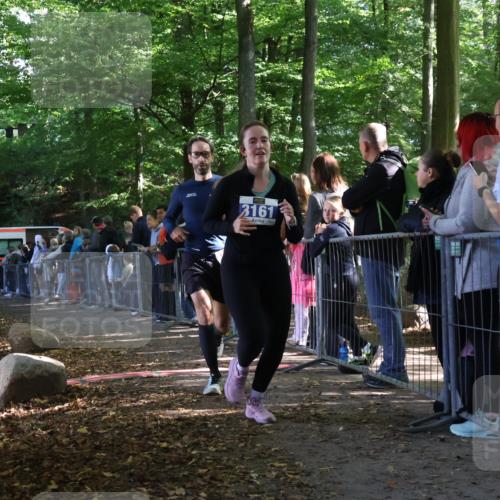 28.09.2025 - 33. Volkslauf durch das schöne Alstertal Strokosch-Dieckow http://msf.ph/oto/8966994 28.09.2025 11:37:30 Ziel 1535, 3161 meine-sportfotos.de